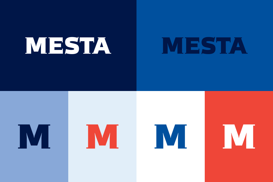 Mesta Metal Coatings brand color palette
